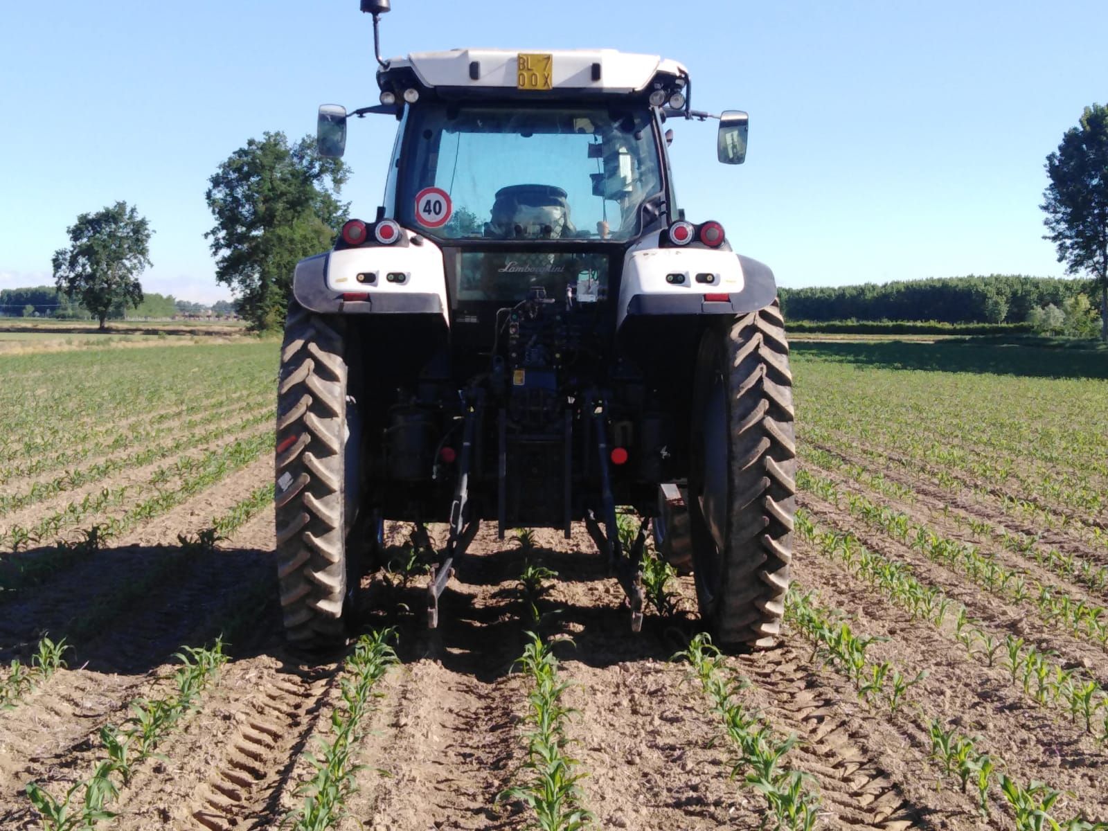 Pneumatici Stretti Agricoli per campo di Mais
