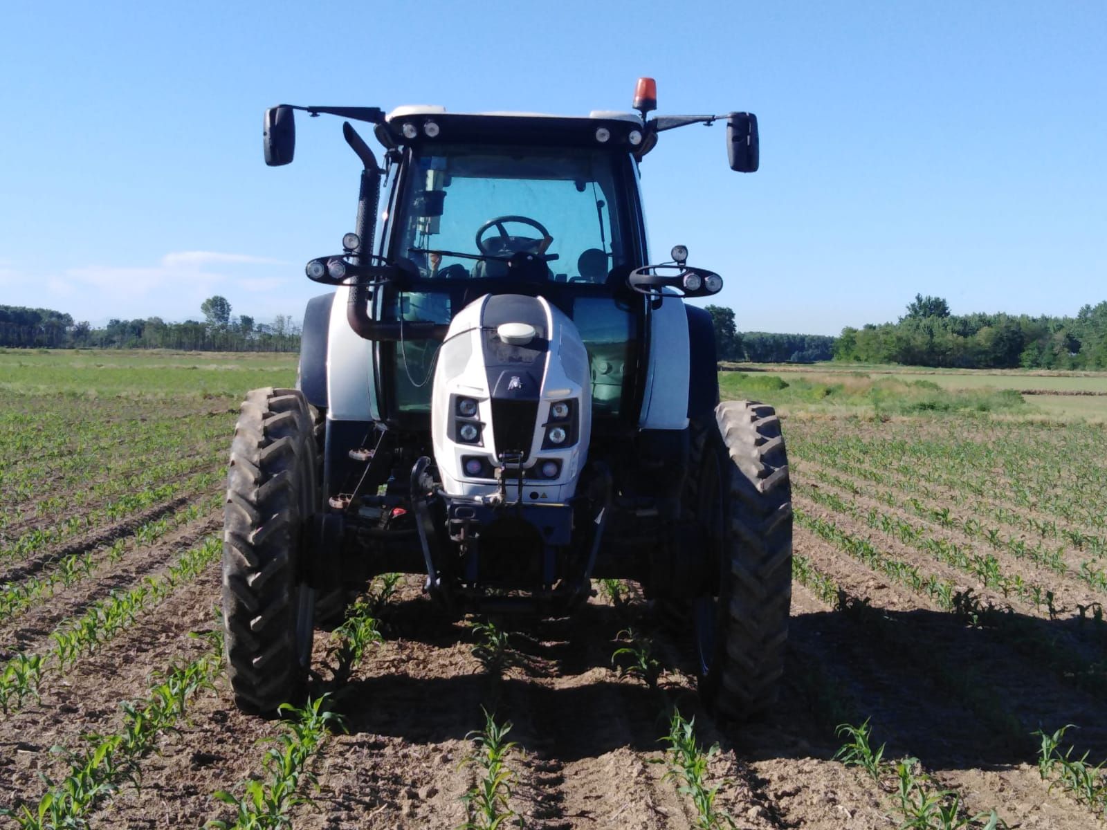 Pneumatici Stretti Agricoli per campo di Mais